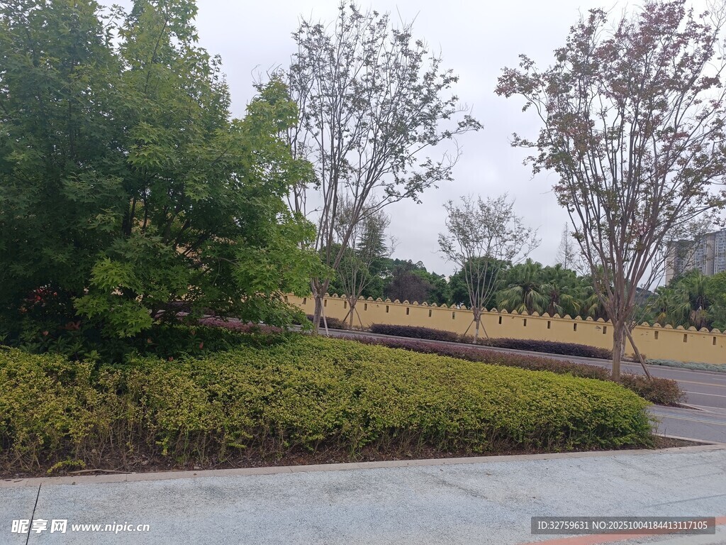 城市公園中的綠植景觀