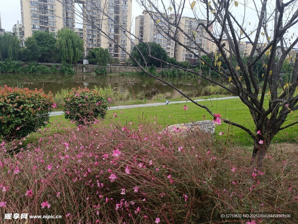 城市公園中的花卉與綠植景觀