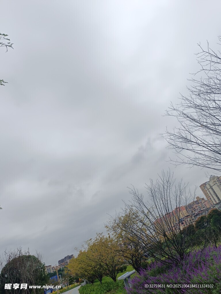 陰天中的花木景致