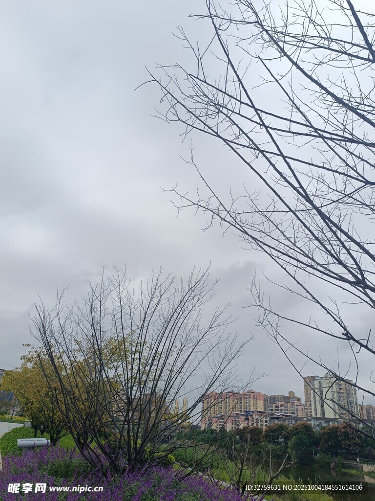 陰天中的花草與遠(yuǎn)處建筑