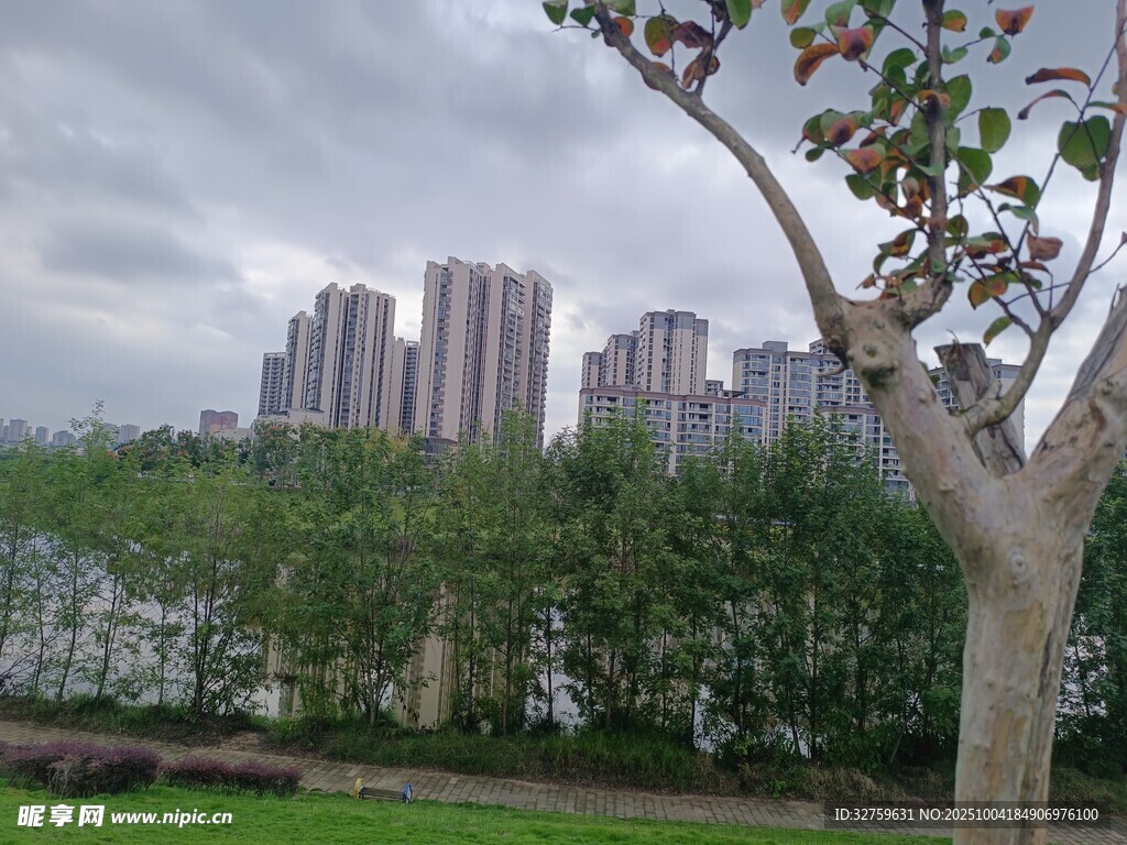 城市河畔風(fēng)景