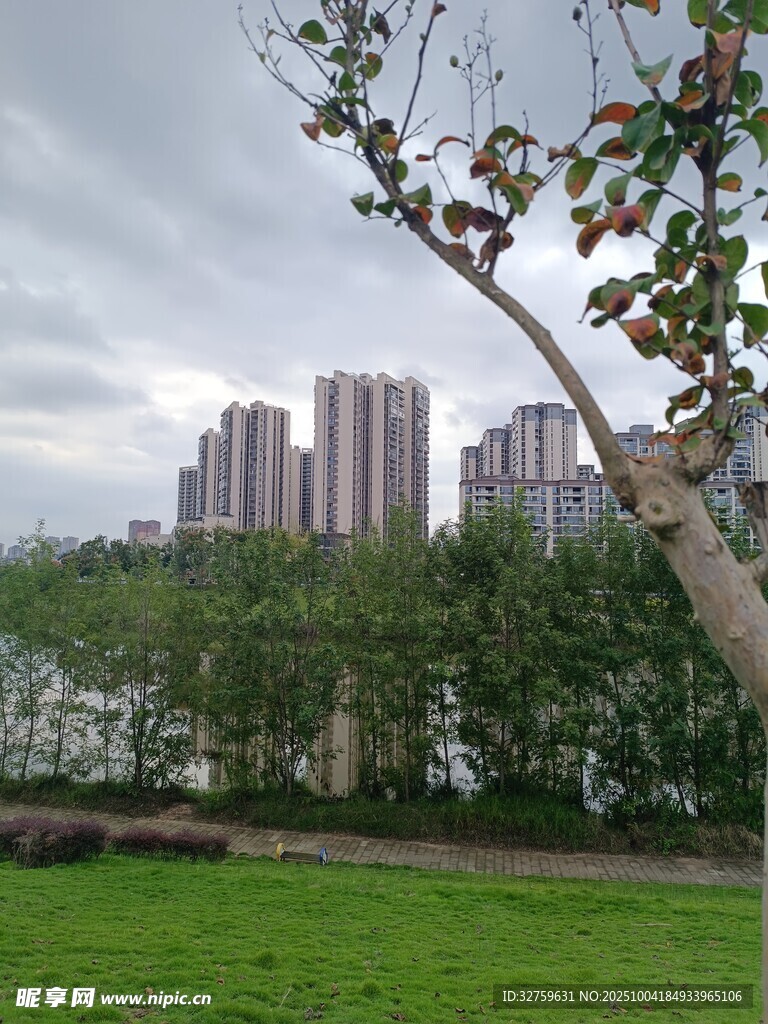 城市綠地旁的高樓景觀