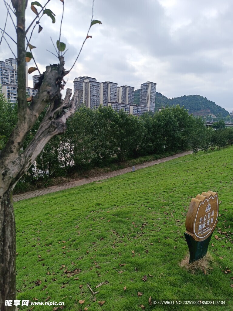 城市邊的綠草地與樹木