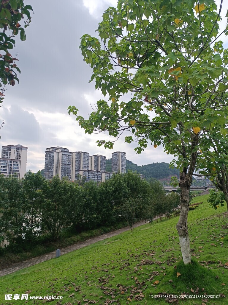 綠樹草地旁的城市遠景