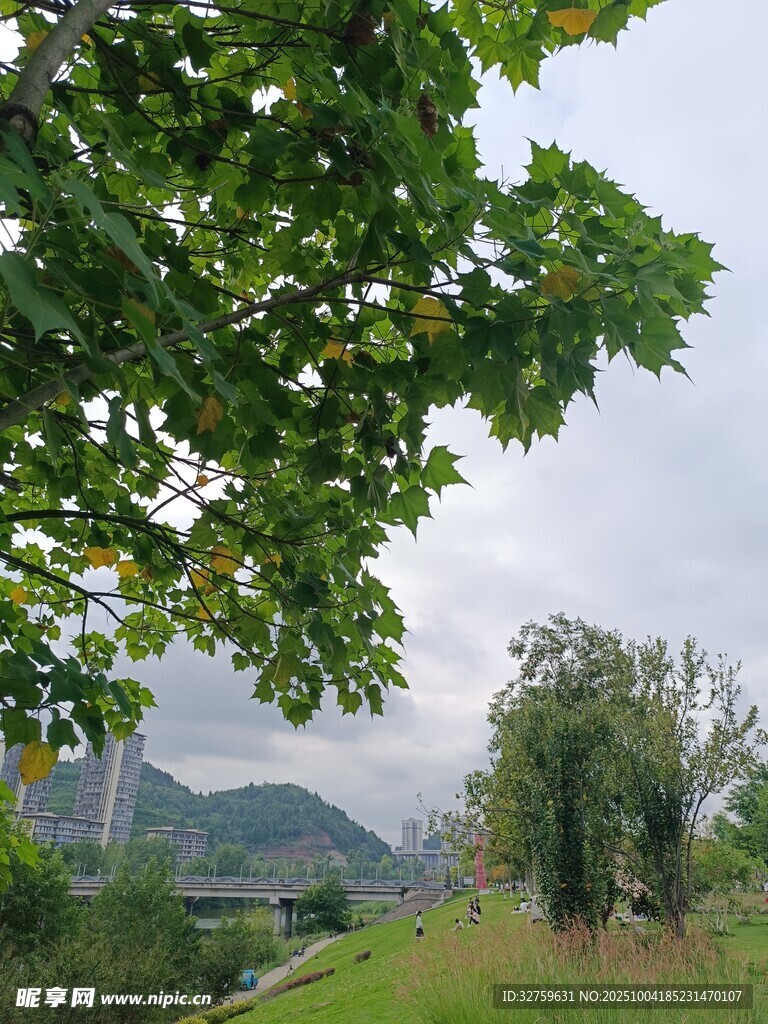 綠葉掩映下的山間景致