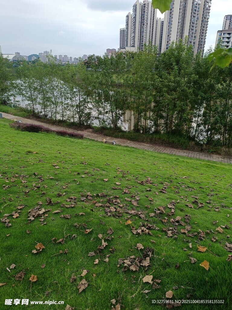 城市河畔草地秋日景致