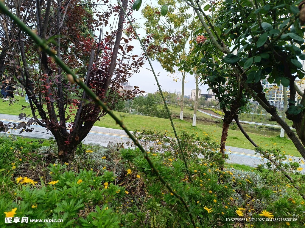 雨中園林綠植景致