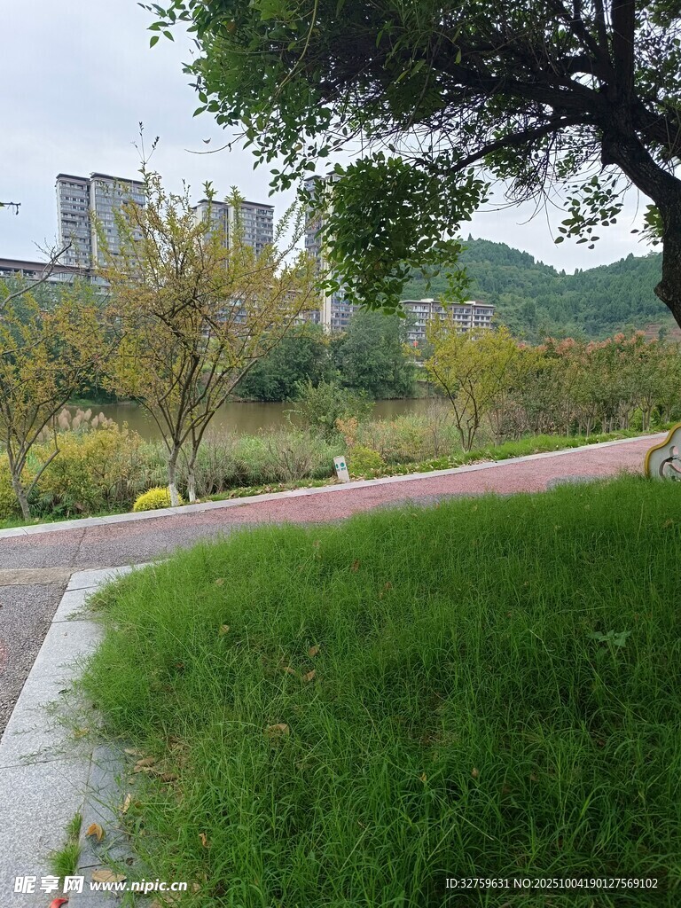 城市公園中的綠意景致