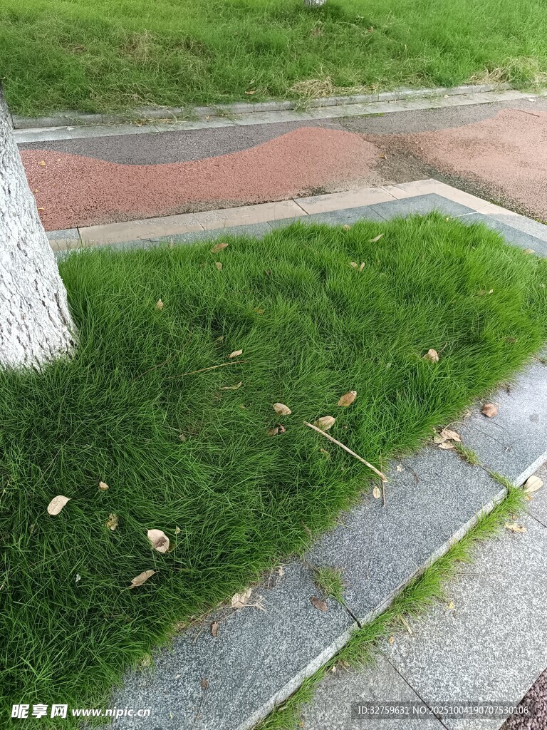 路邊草地與步道景象