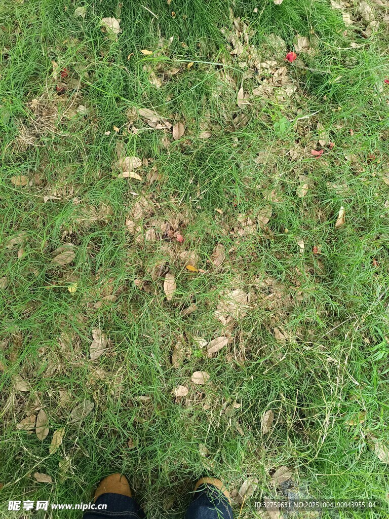 腳下斑駁草地與落葉