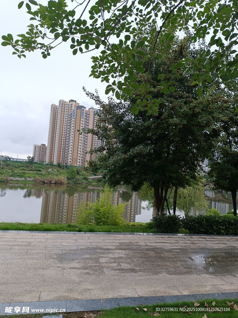 湖畔綠樹與遠處高樓景致