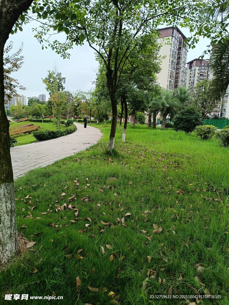 城市中的靜謐林蔭小道