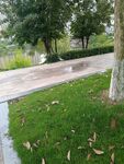雨后公園草地與小徑景色