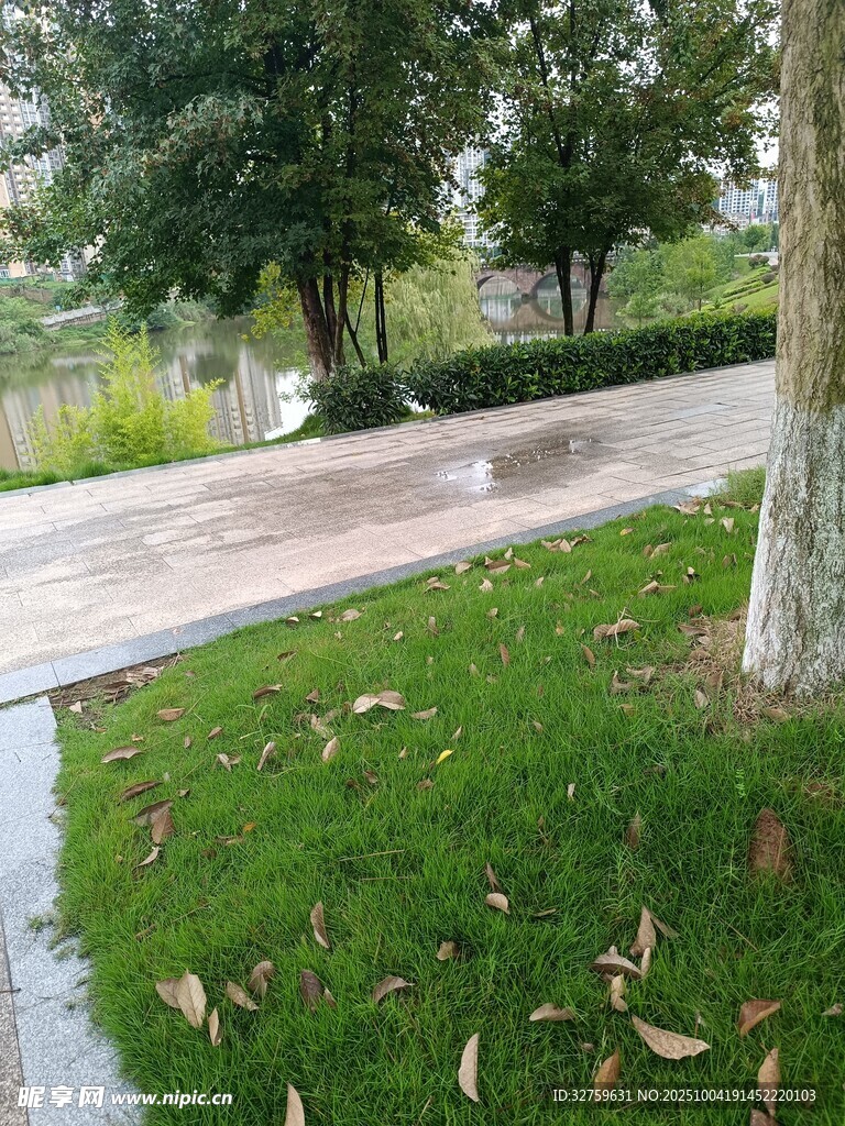 雨后公園草地與小徑景色