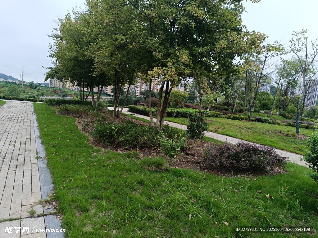 城市公園中的綠化景觀