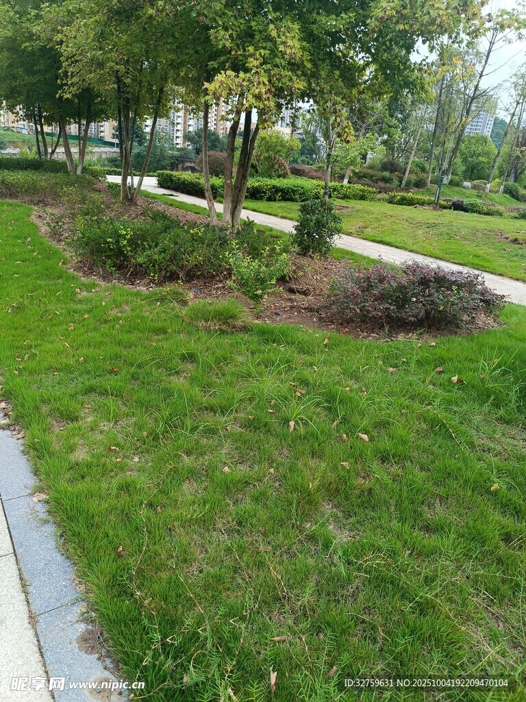 城市公園中的綠意景觀