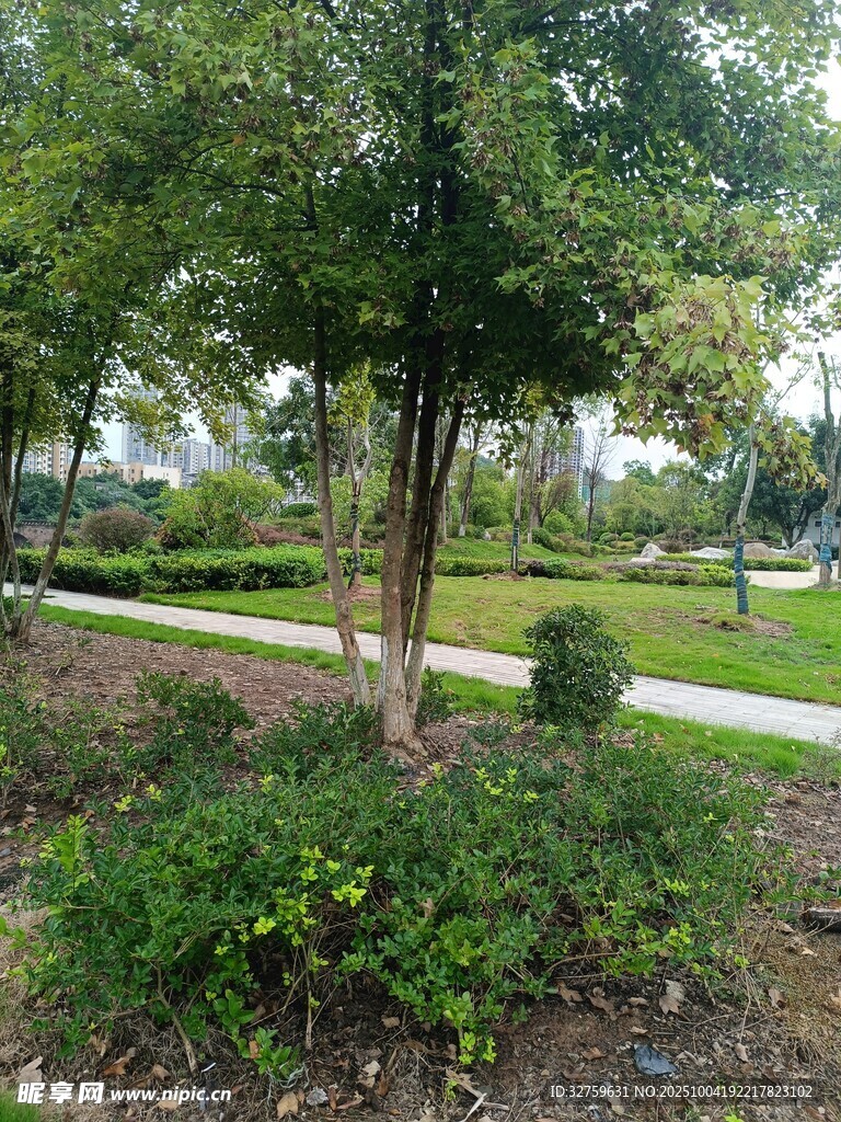 公園綠植景觀一角