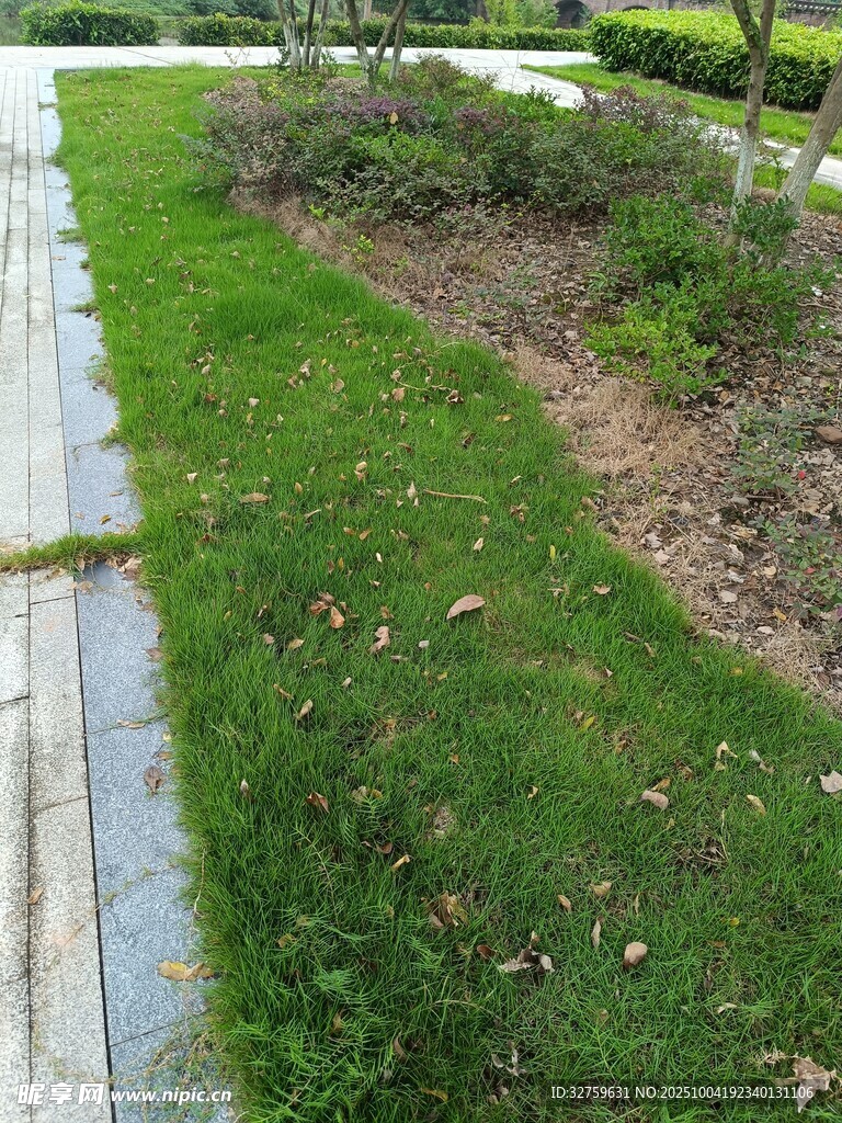路邊綠意盎然的草坪景觀