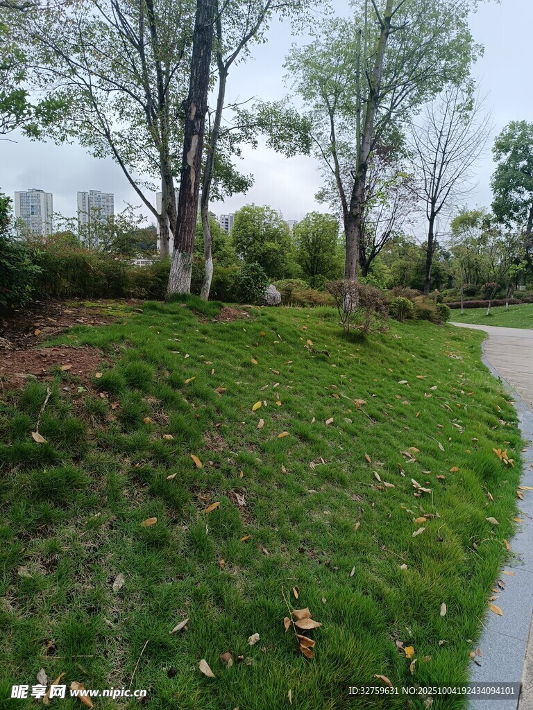 蜿蜒小徑旁的蔥郁綠地