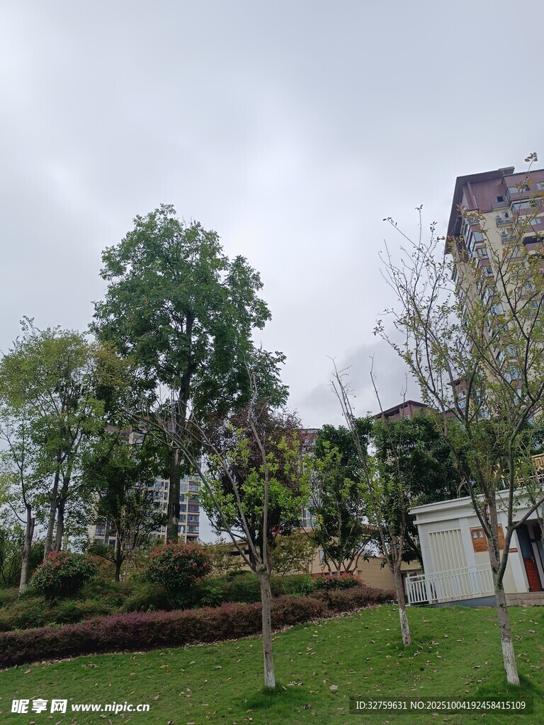 城市中的綠意景觀