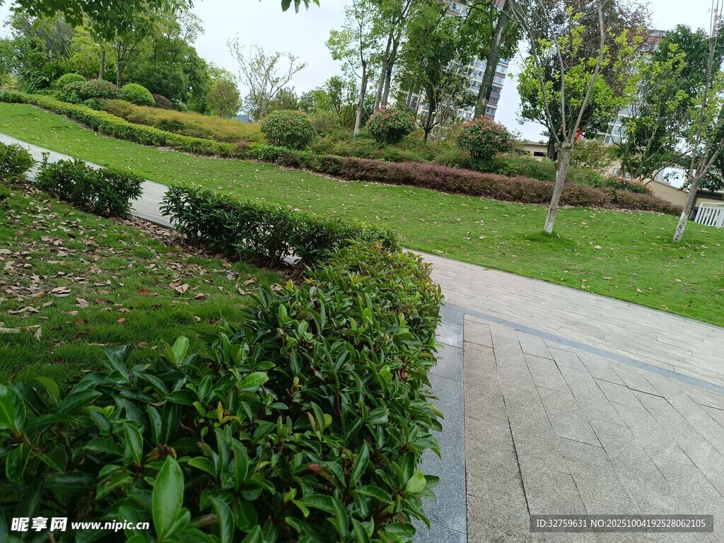 公園綠植小徑景觀