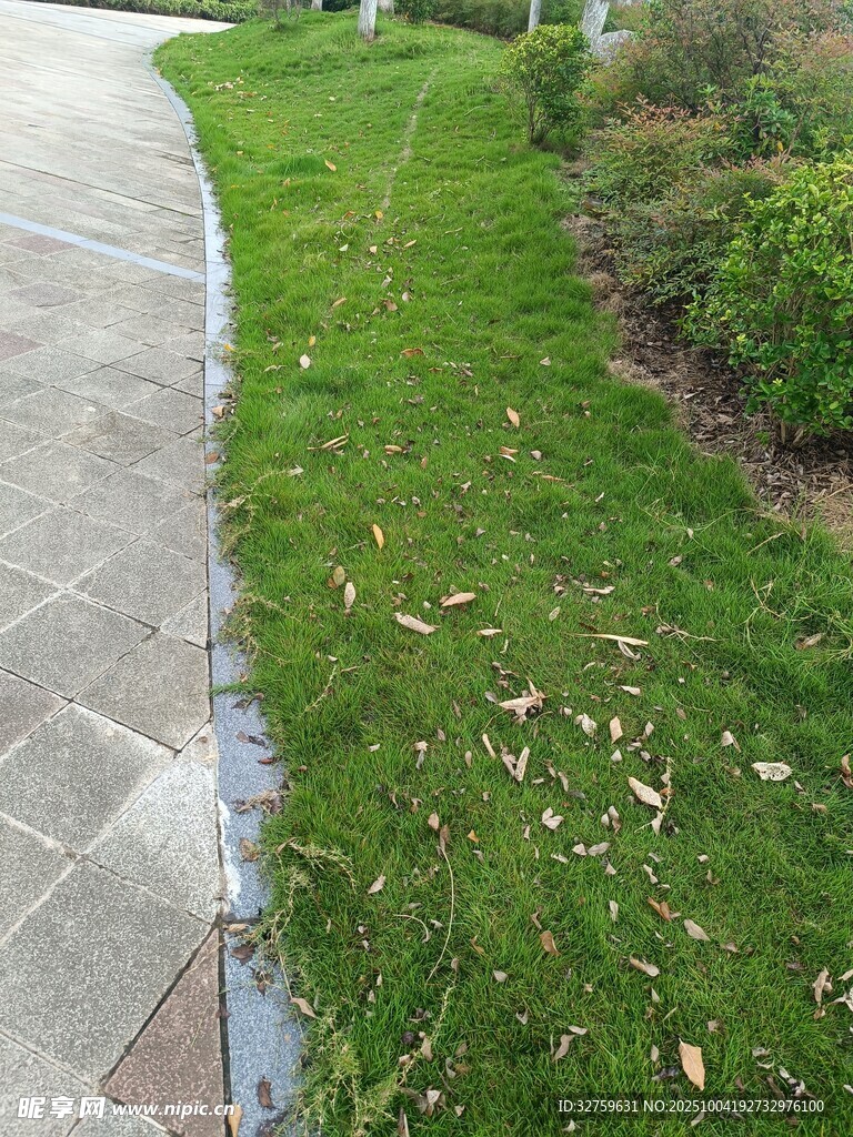 路邊翠綠草坪與周邊景致