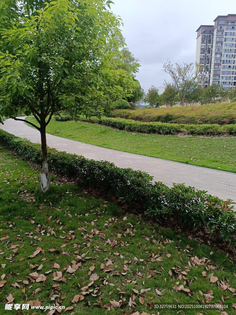 秋日公園小徑景色