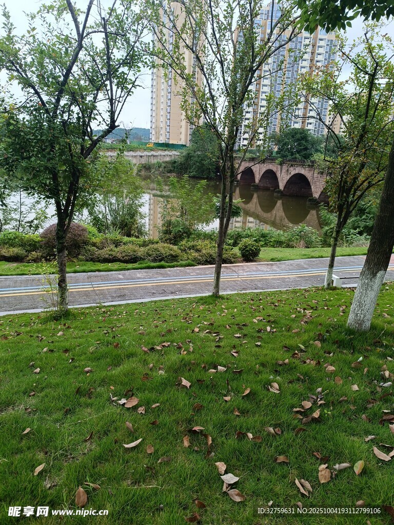 城市公園中的靜謐景致