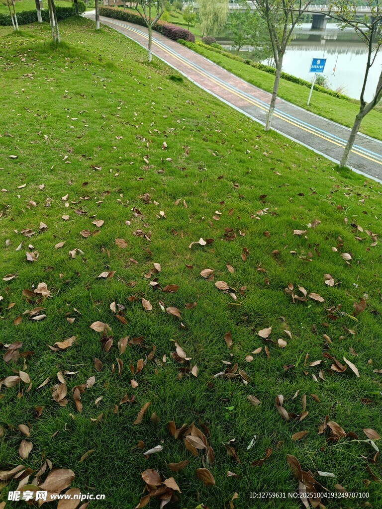 秋日草地