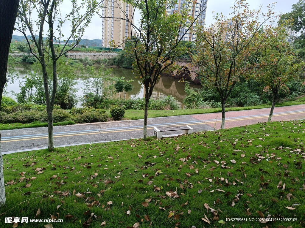 秋日公園景色