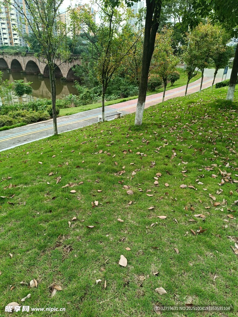 城市公園中的綠意草地