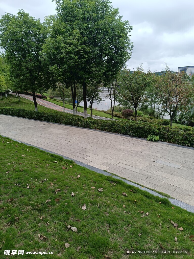 公園中的靜謐步道與綠植