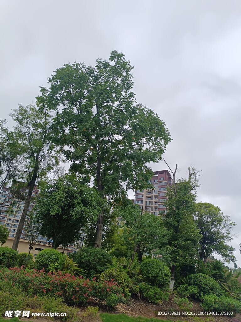 山林中的古老建筑