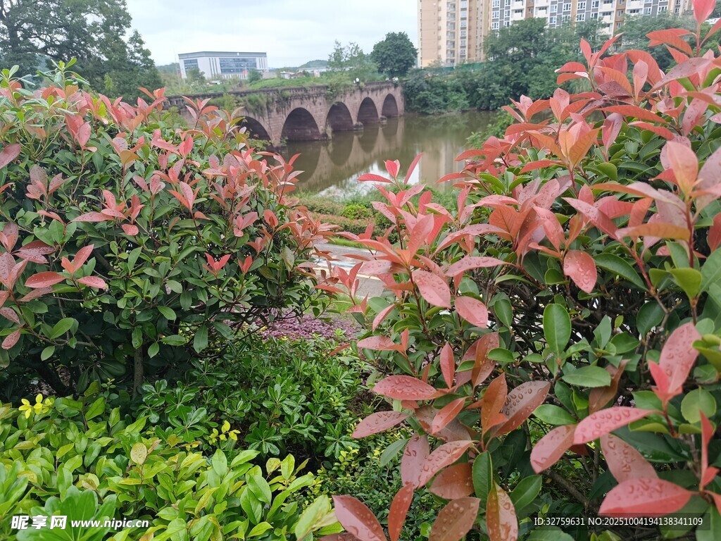 河畔多彩綠植景觀