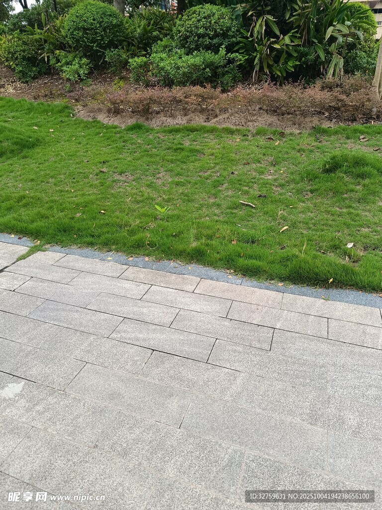 庭院中的草地與石板路