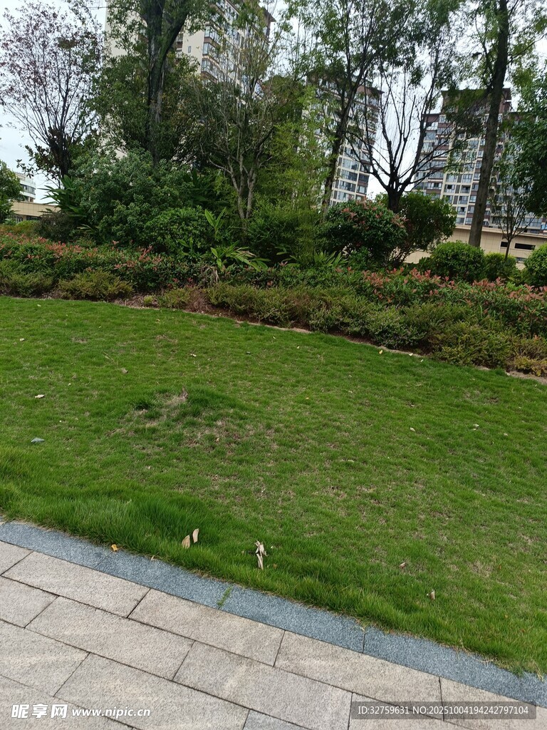 城市中的綠意盎然景觀
