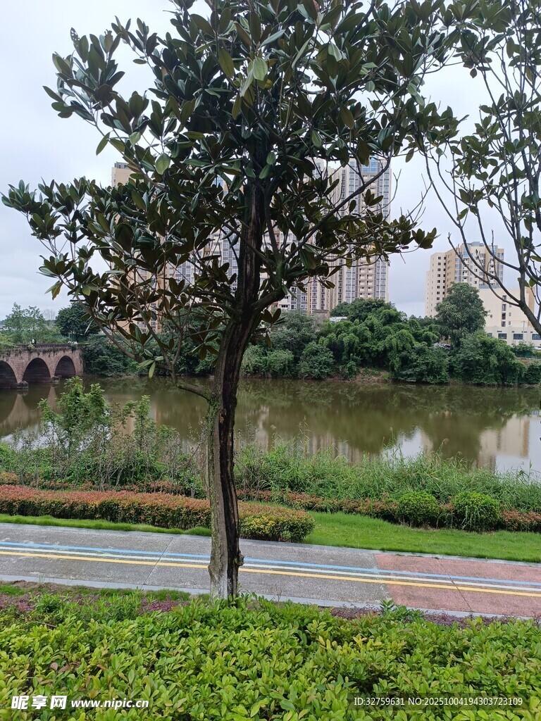 湖畔綠樹成蔭的優(yōu)美景致