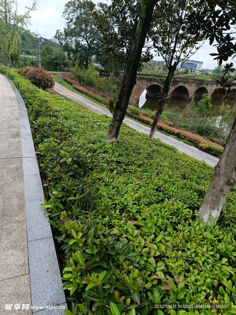 城市綠化帶景觀