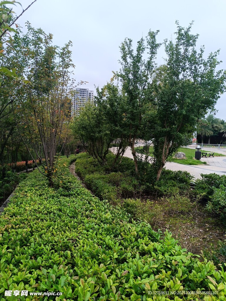 綠意盎然的園林景觀