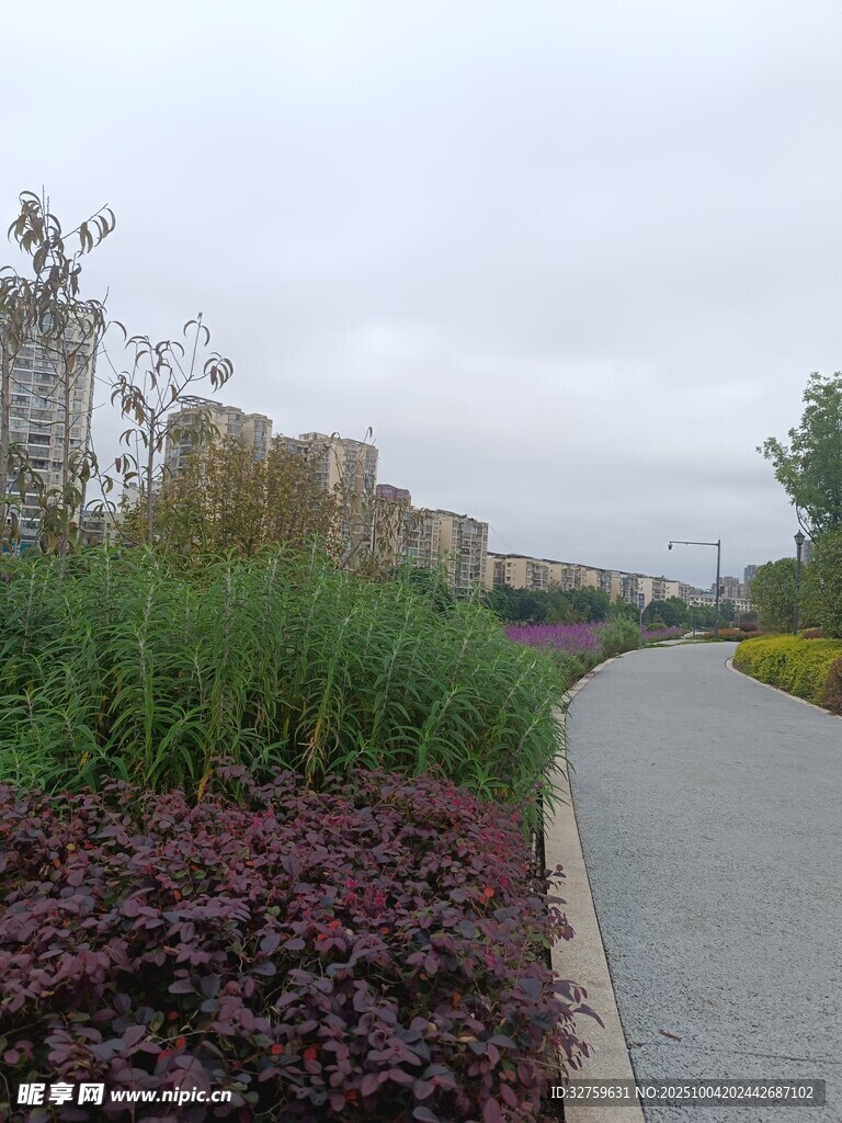 城市小徑旁的多彩植物景觀