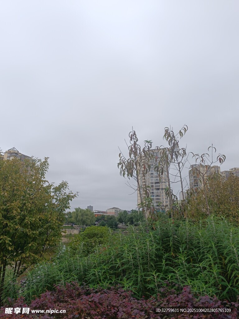 霧中園林景觀