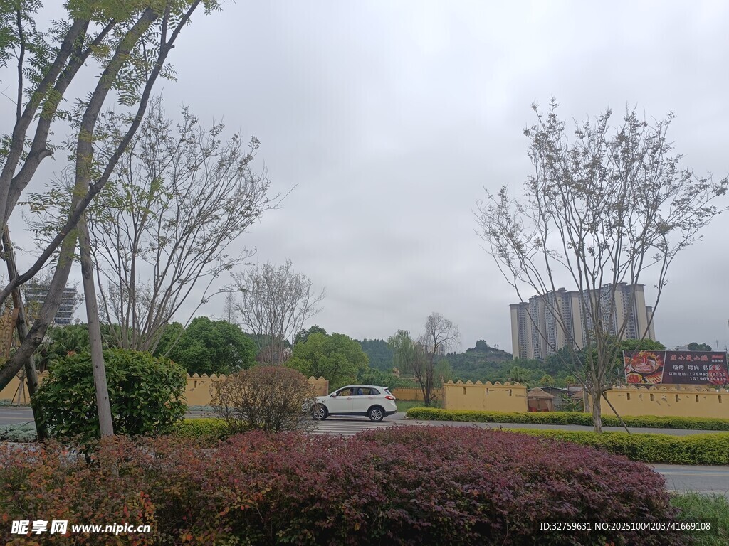 城市中的靜謐園林景觀