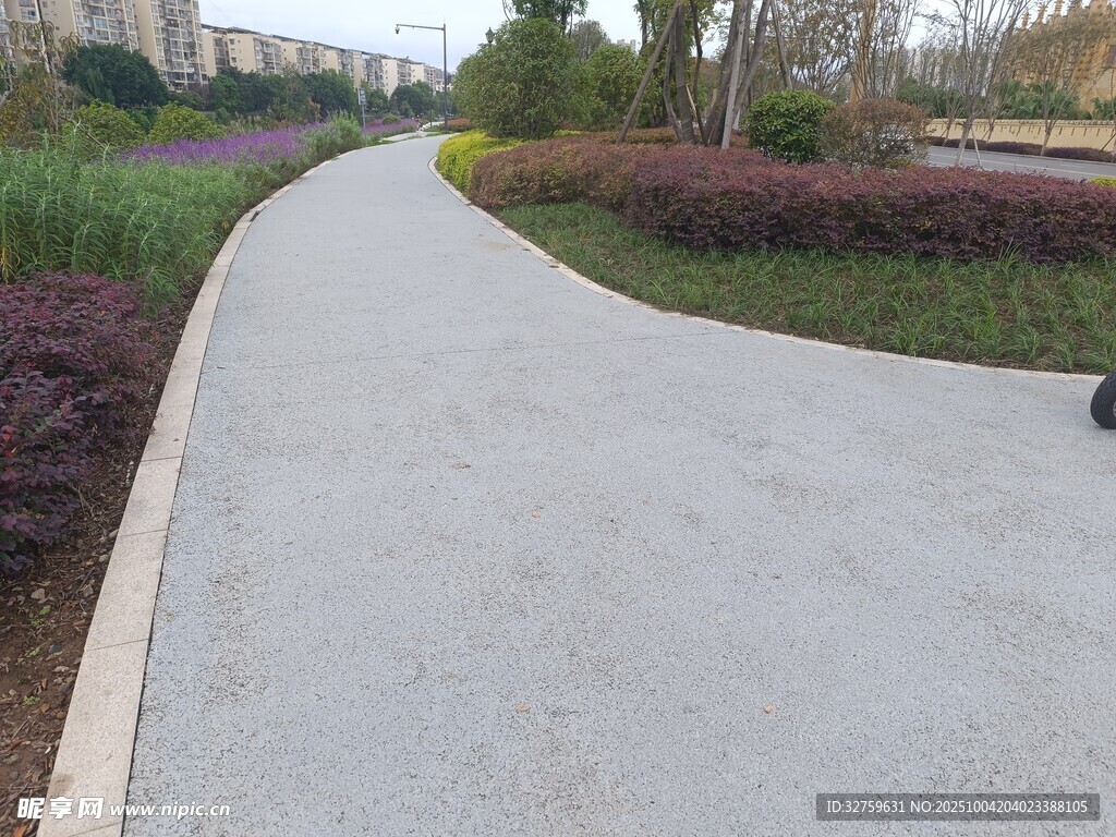 蜿蜒小路旁的綠植景觀