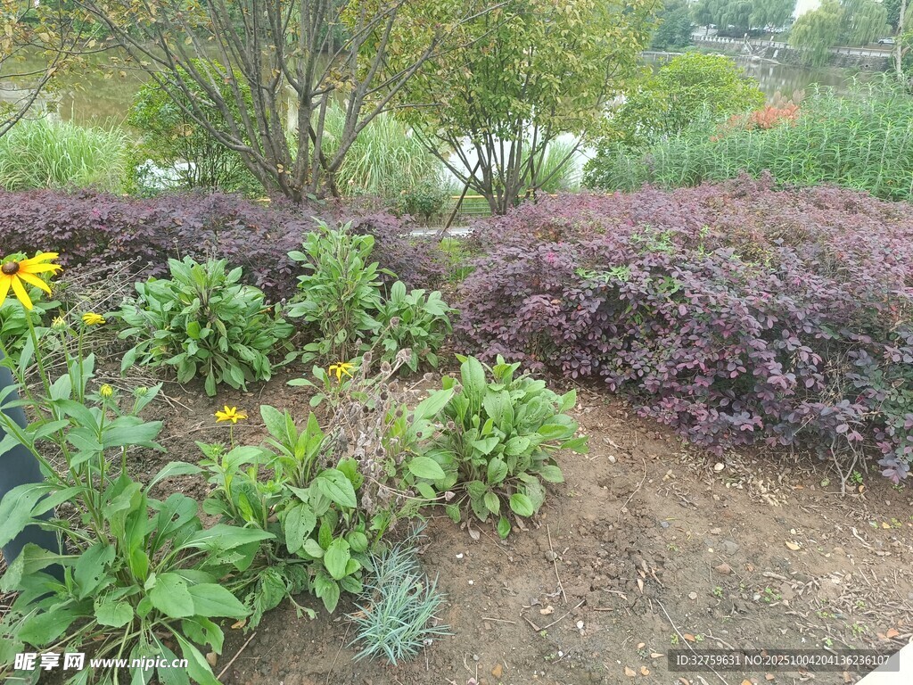 多彩植物裝點的花園角落