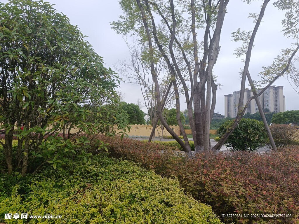 城市綠植景觀一角