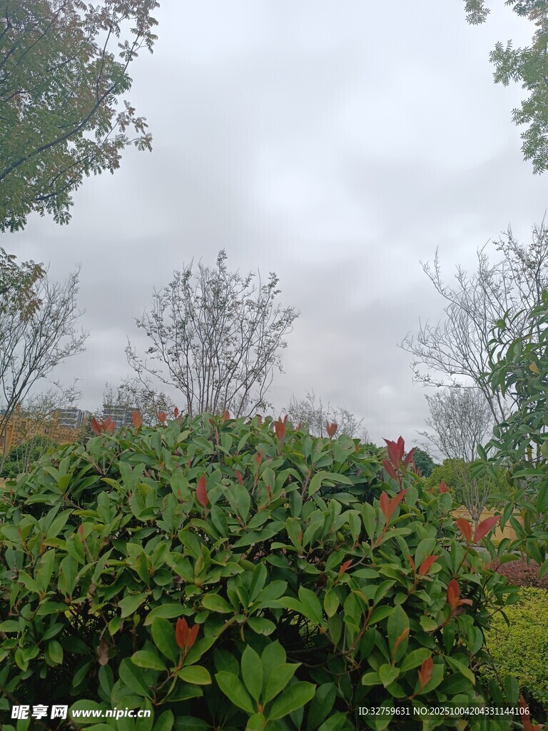 綠意盎然的戶外植物景觀