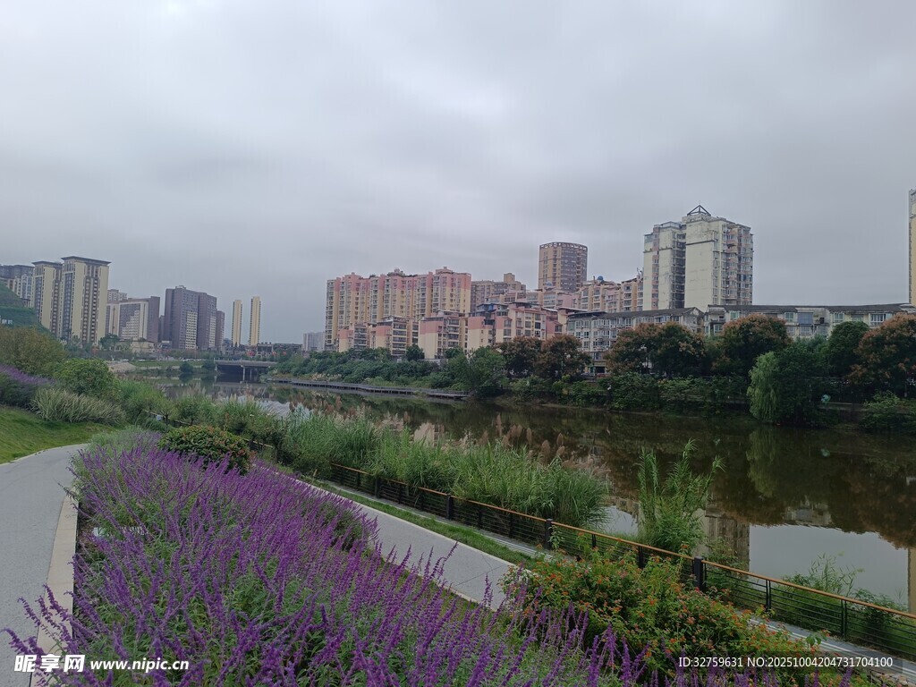 城市河畔紫色花卉景觀