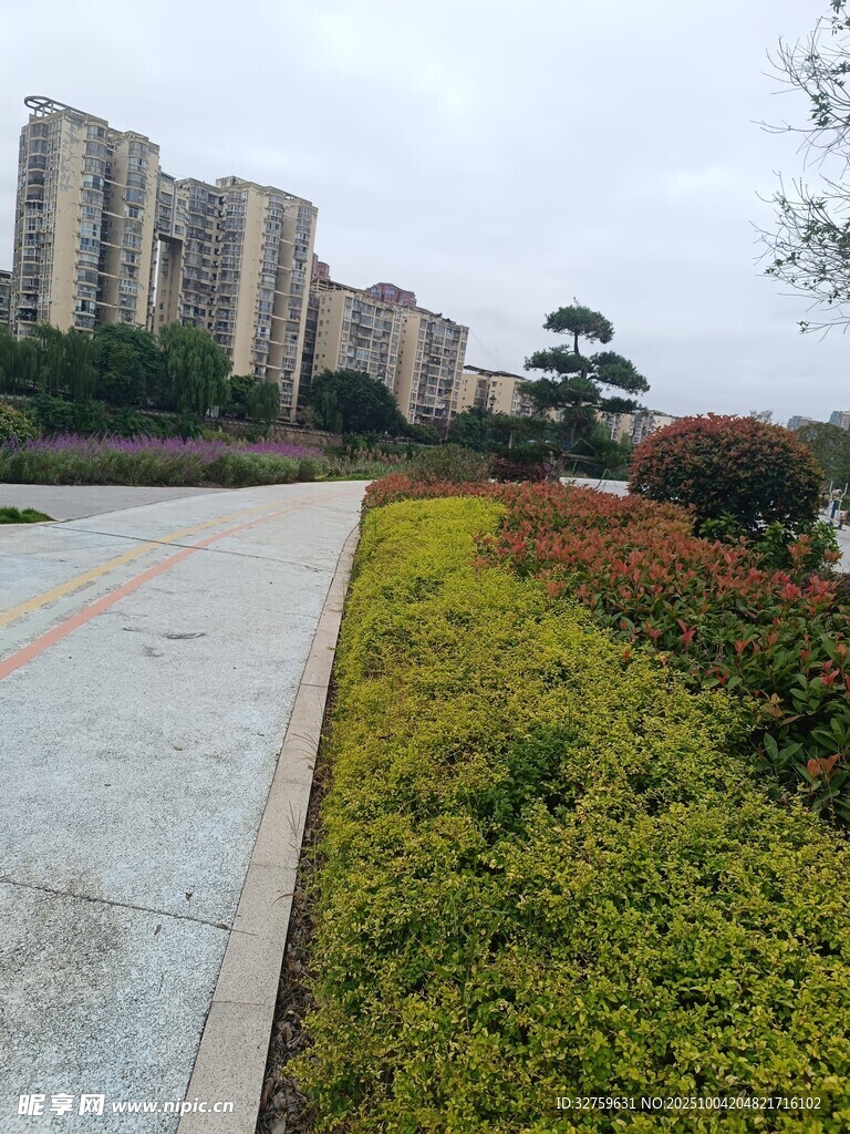 城市綠化帶景觀