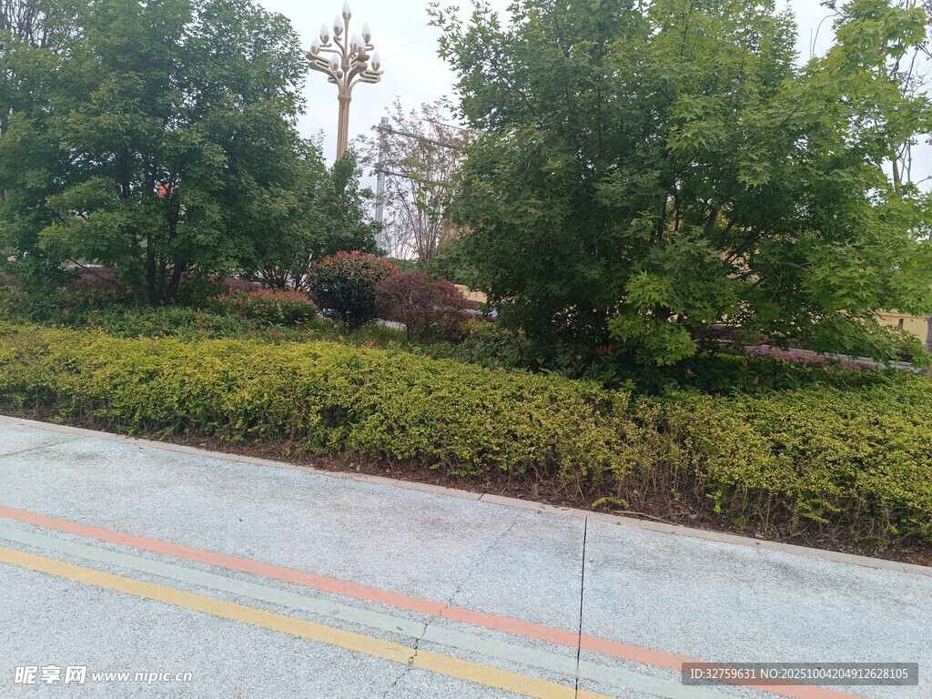 道路旁綠意盎然的景觀