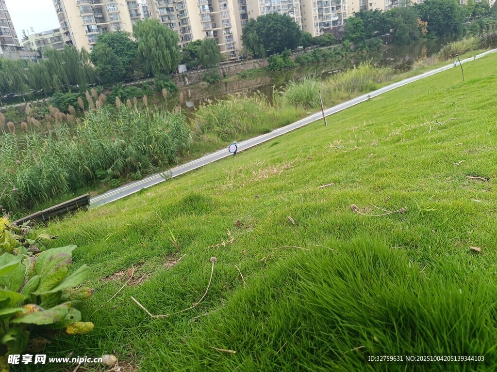 城市中的綠意草地景觀